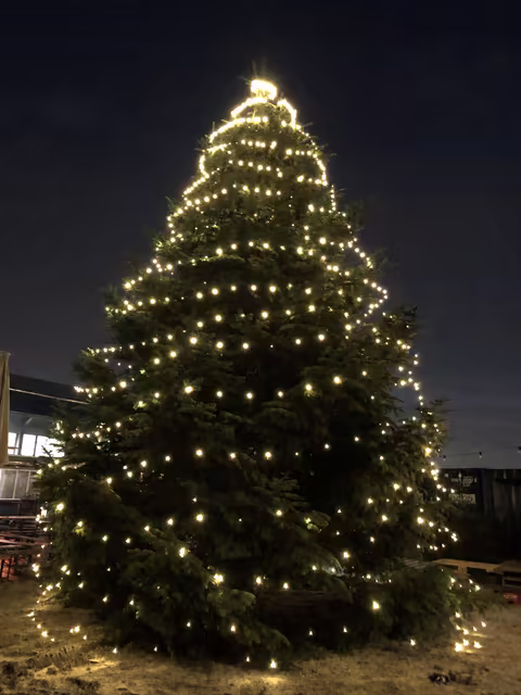 Juletræ på 12 meter opsat i København