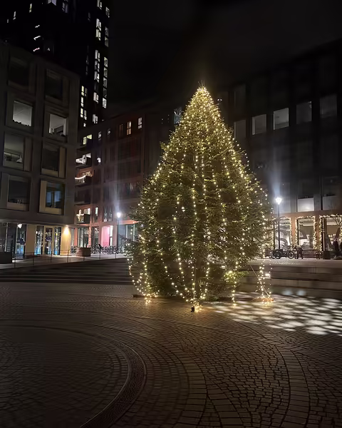 Kæmpe juletræ på 12 meter med lys opsat udendørs i Carlsbergbyen
