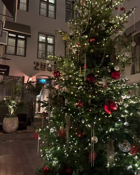 Juletræ på 6 meter leveret og opsat af Jagtgården Juletræer på Hotel Skt. Annæ i København