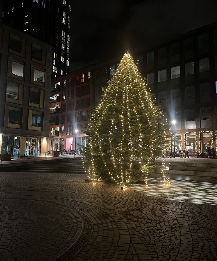 Juletræ i Carlsbergbyen leveret af Jagtgaarden Juletræer
