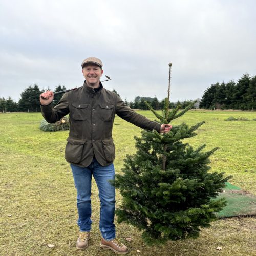 vinder-juletraesgolf-jagtgaarden-juletraeer